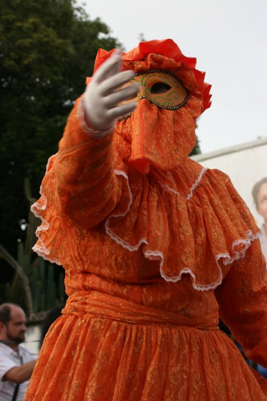 Carnaval 2009
