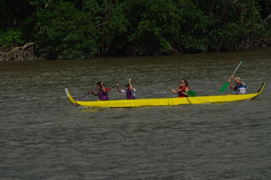 Course de pirogue