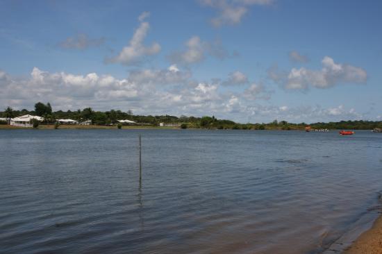 pagaie 2008