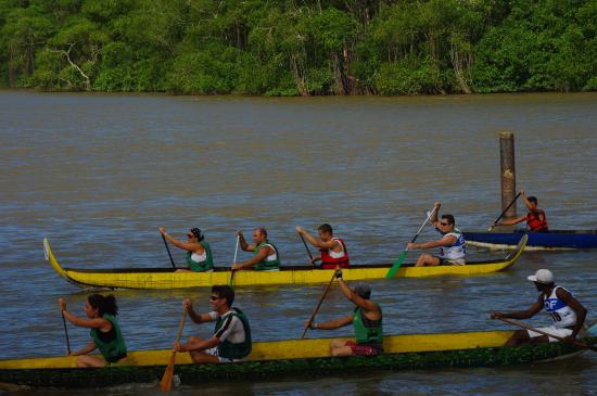 Course de pirogue
