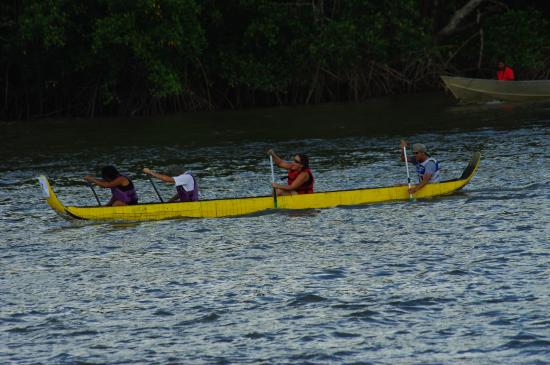 Course de pirogue