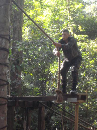 CEFE 2011