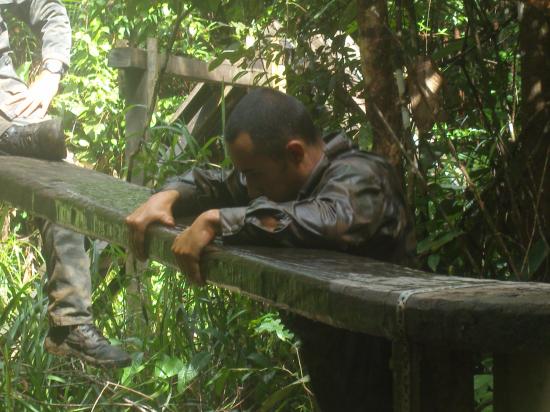 CEFE 2011