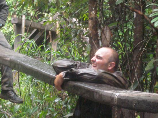 CEFE 2011
