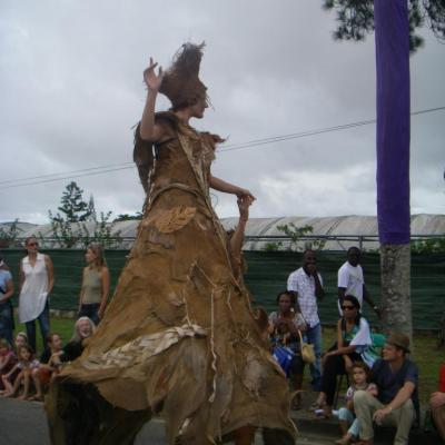 Icarnaval 2012