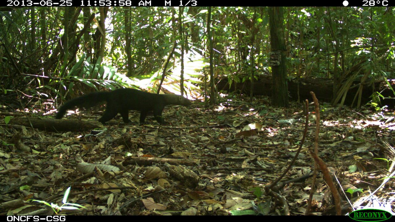 TAYRA (8)